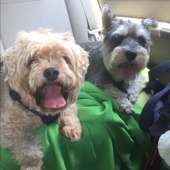 Meet your Posher, Ivette - Picture 3 of 7